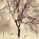 ON A COLD WINTERS DAY