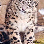 &laquo;You look funnier when I watch you this way!&raquo;