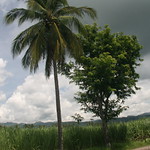 Asia - Philippines / Negros