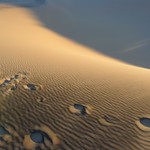 EPIC 3-week Cali Desert Bike Tour 2.2011