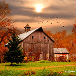 Autumn Barn # 27