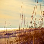 Golden Christmas Eve