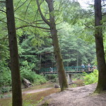 Hocking Hills with Wes 034