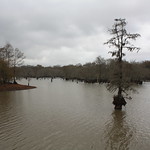 Gloomy day at Chicot Lake