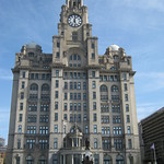 Liver Buildings