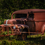 Happy Fence Friday!!