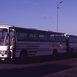 Cumberland 101/2 (A101/2 DAO)