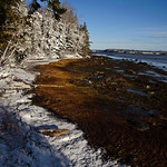 Waterfront in Winter