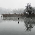 grey stillness