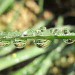 Small world seen in raindrops