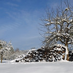 Bonne Ann&eacute;e - Happy New Year 2011