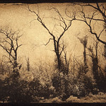 gumoil alternative process