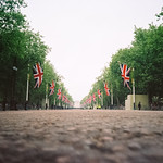 buckingham palace on the morning