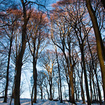 110101_046_R&uuml;gen