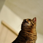 5/365: Big Man on Campus