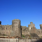 conwy castle