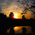 ~~Brooks, MAINE #5~~