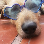 zzzzz n&atilde;o pertube!