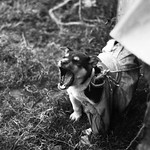 get the .... out of here