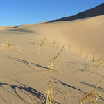 EPIC 3-week Cali Desert Bike Tour 2.2011