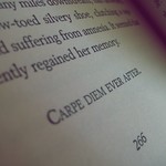 Carpe diem ever after &hearts;