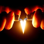 Love is the fire of life; it either consumes or purifies. -Anonymous