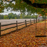 Autumn in the countryside ...