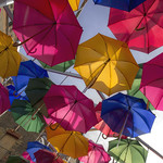 Hopelessly Falling in Love