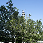 looking W across Lawton Drive at memorial - Spanish-American War Memorial - Arlington National Cemetery - 2013-08-24