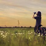 160/365 Should Be Waiting For The Sun