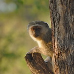 Starting the Day with A Smile