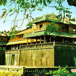 co-do-hue---du-lich-hue---tour-hue