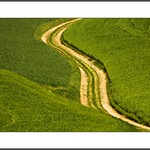 durch die Felder (through the fields)