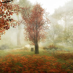 Last days before winter (3)