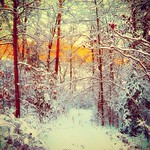 Light Across the Lake