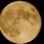 RSCN0791