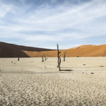 Dead Vlei