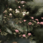 --- melancholy roses ---