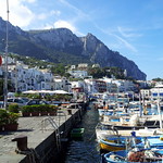 Capri harbour