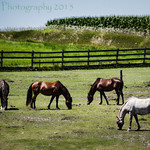 and in those times, Life was good. (HFF)