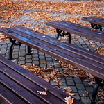 Осенний этюд DSC_3028