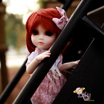 Your Friendship Has Me Climbing To New Hights