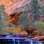 Zion - Angel Falls
