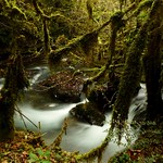 Asque (Hautes-Pyr&eacute;n&eacute;es) - La gourgue, rivi&egrave;re et for&ecirc;t enchant&eacute;es