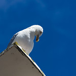 Vantage point ! - Aug 2016