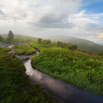Black Balsam Knob - Blue Ridge Parkway, North Carolina
