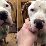 Storm Just After Being Rescued