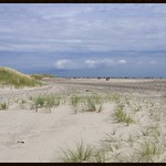 Grenen