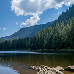 Shore of Barclay Lake