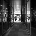 _DSF5586
